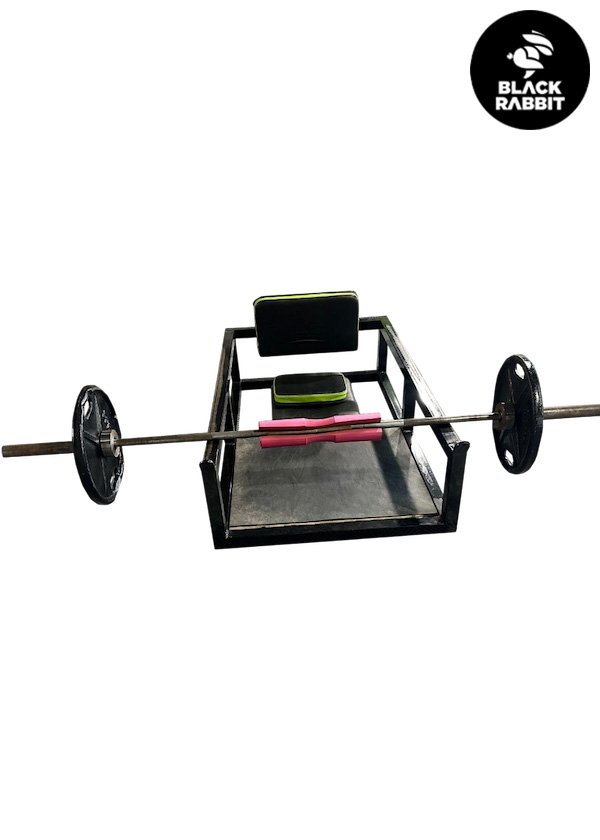 02-Elevación-de-Pelvis